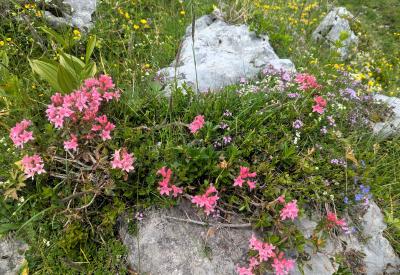 image02
