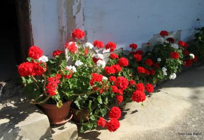 image02