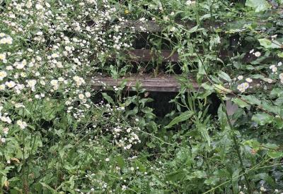 image02