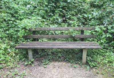image02