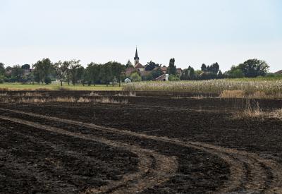 image02