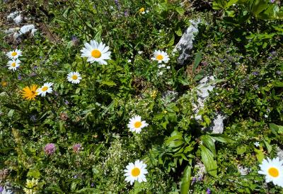 image02