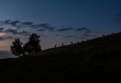 image02