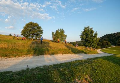 image02