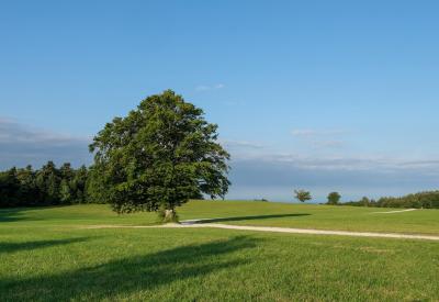 image02