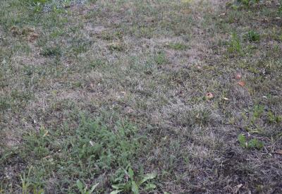 image02