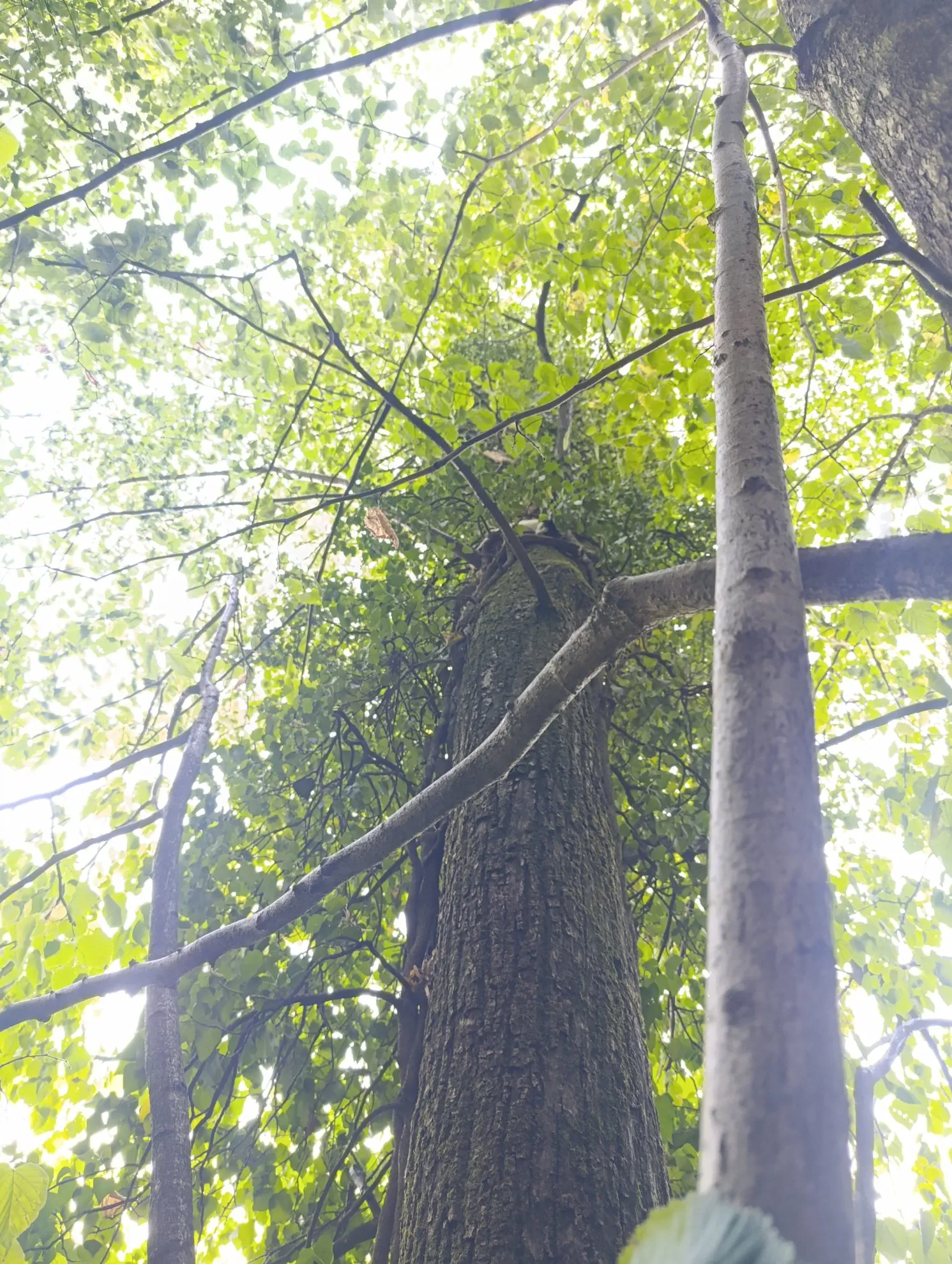 image02