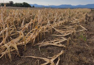 image02