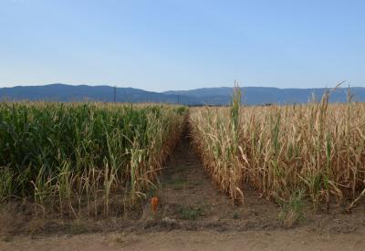 image02