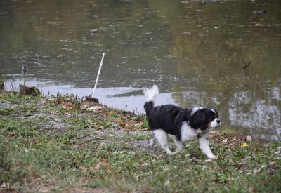 image02