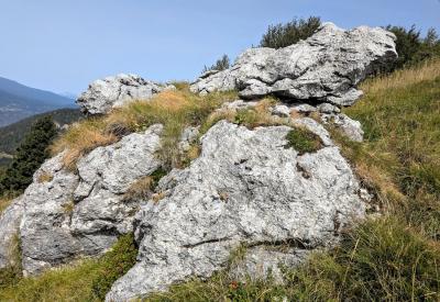 image02