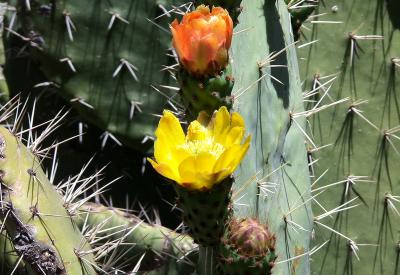 image02