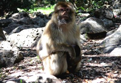 image02