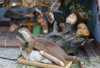 image02