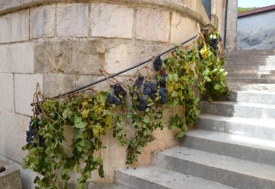 image02
