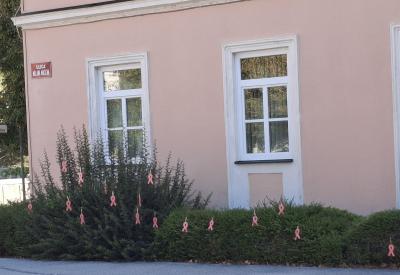 image02