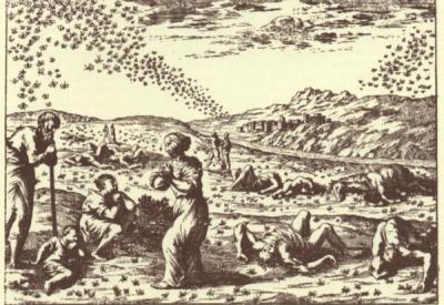 image02