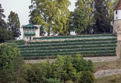 image02