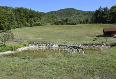 image02