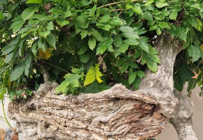 image02
