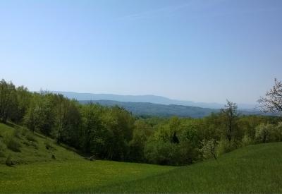 image02