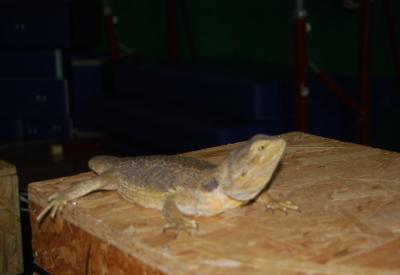 image02