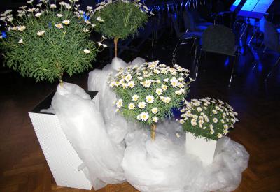 image02