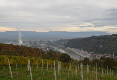 image02