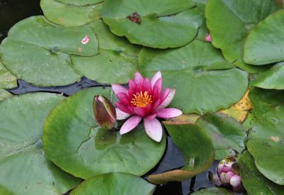 image02