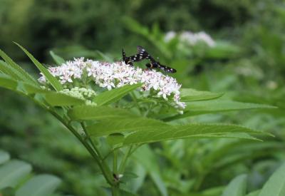 image02