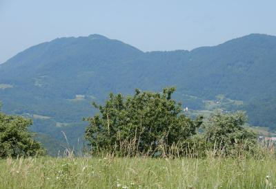 image02