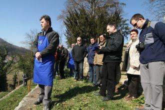Rez vinske trte v grajskem vinogradu