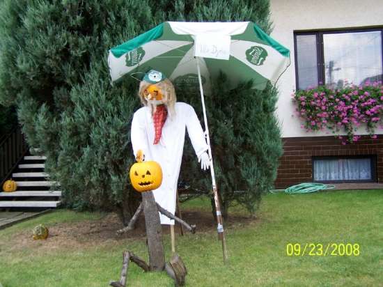 Buče, bučke, bučkice....