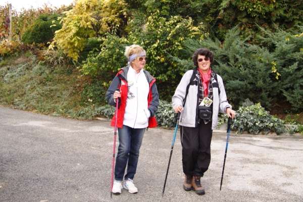 Po Bizeljskem po Grajski poti