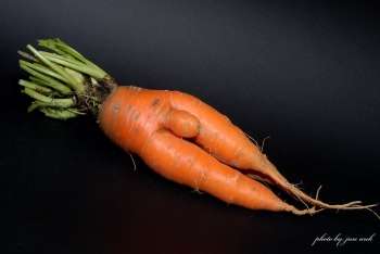 Narava - umetnica skulptur