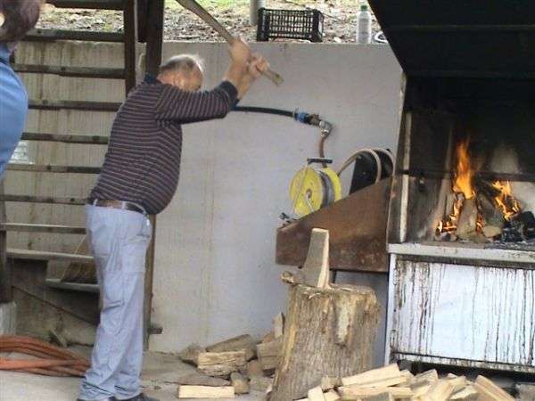 Martinovanje pod kozolcem