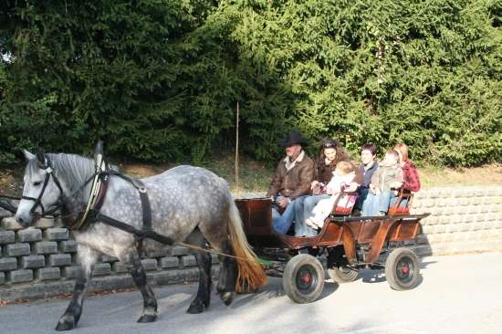 Dobovska Tetka jesen