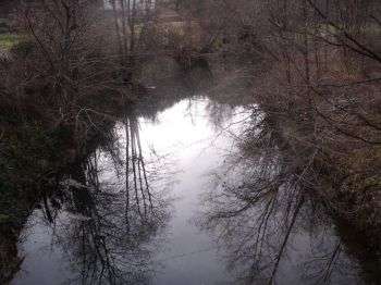 Revitalizacija oz. oživitev reke Mirne