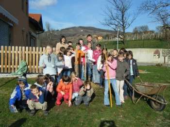 Zasadili stare sorte jablan