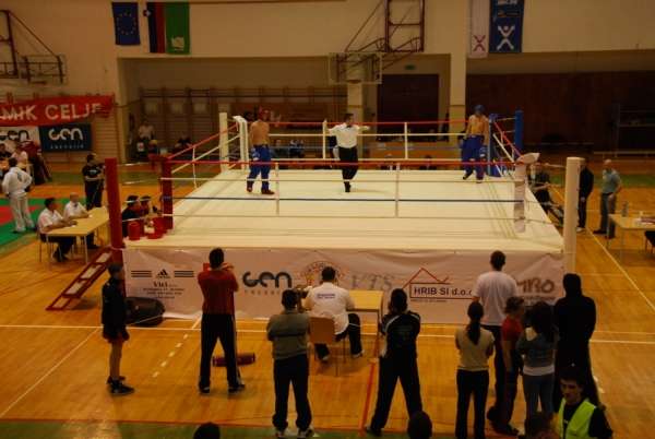 Veličevič in Bogolin zmagovalca Posavje open v kickboksu