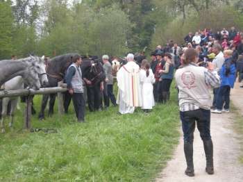 Blagoslov konj v Trnovcu