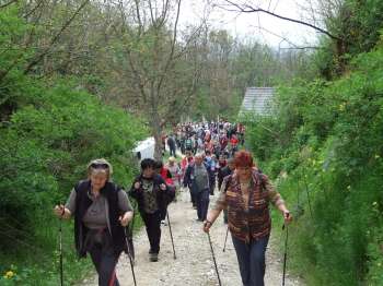 Svetovni dan gibanja