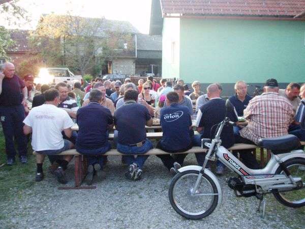 Tudi v Mihalovcu postavljali mlaj na star način