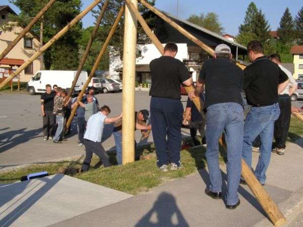 Na Blanci ohranjajo tradicijo ročnega postavljanja mlaja