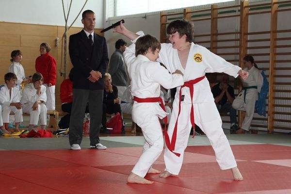 Državno prvenstvo v ju-jitsu duo sistemu
