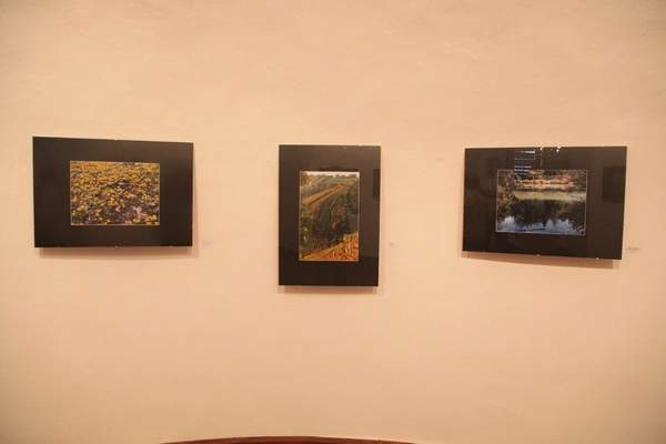 Fotografska razstava Judith Zgonec in Vinka Šeška