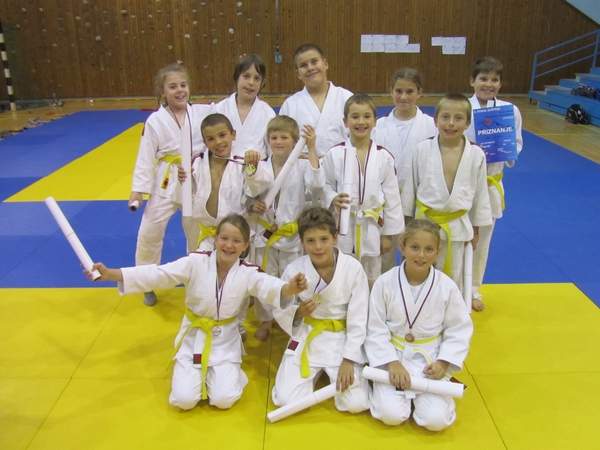 Krški judoisti v Ravnah na Koroškem