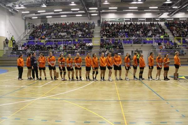 Nov uspeh Brežičank