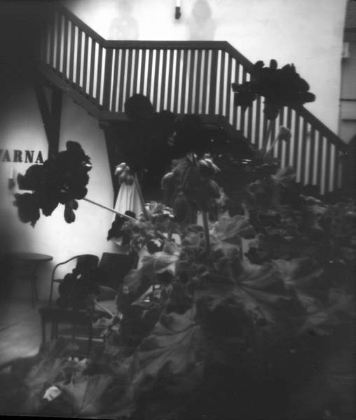 Nedeljska muzejska delavnica Camera obscura