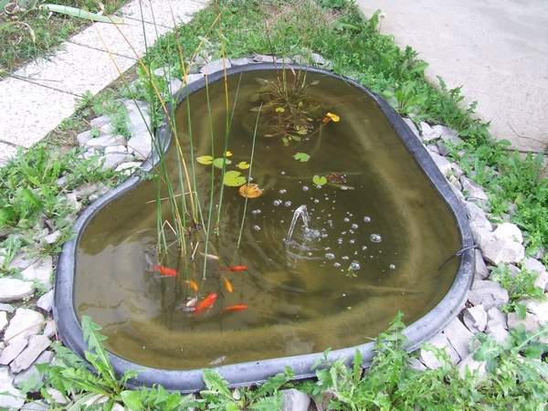 S knjižnico prebujamo sonce